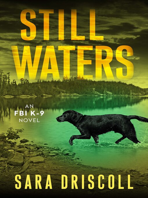 Title details for Still Waters by Sara Driscoll - Available